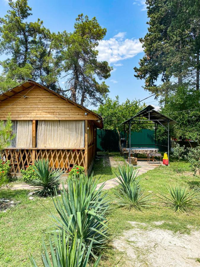 Guest House Harmony Pitsunda Exterior foto